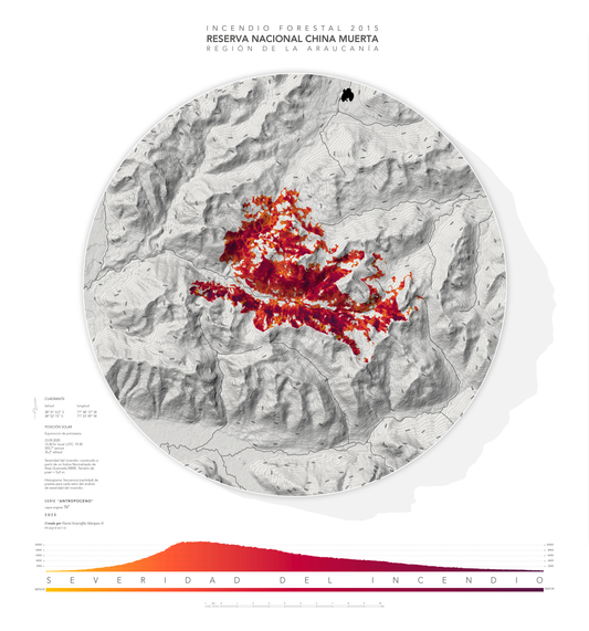 Reserva Nacional China Muerta | Incendio forestal 2015