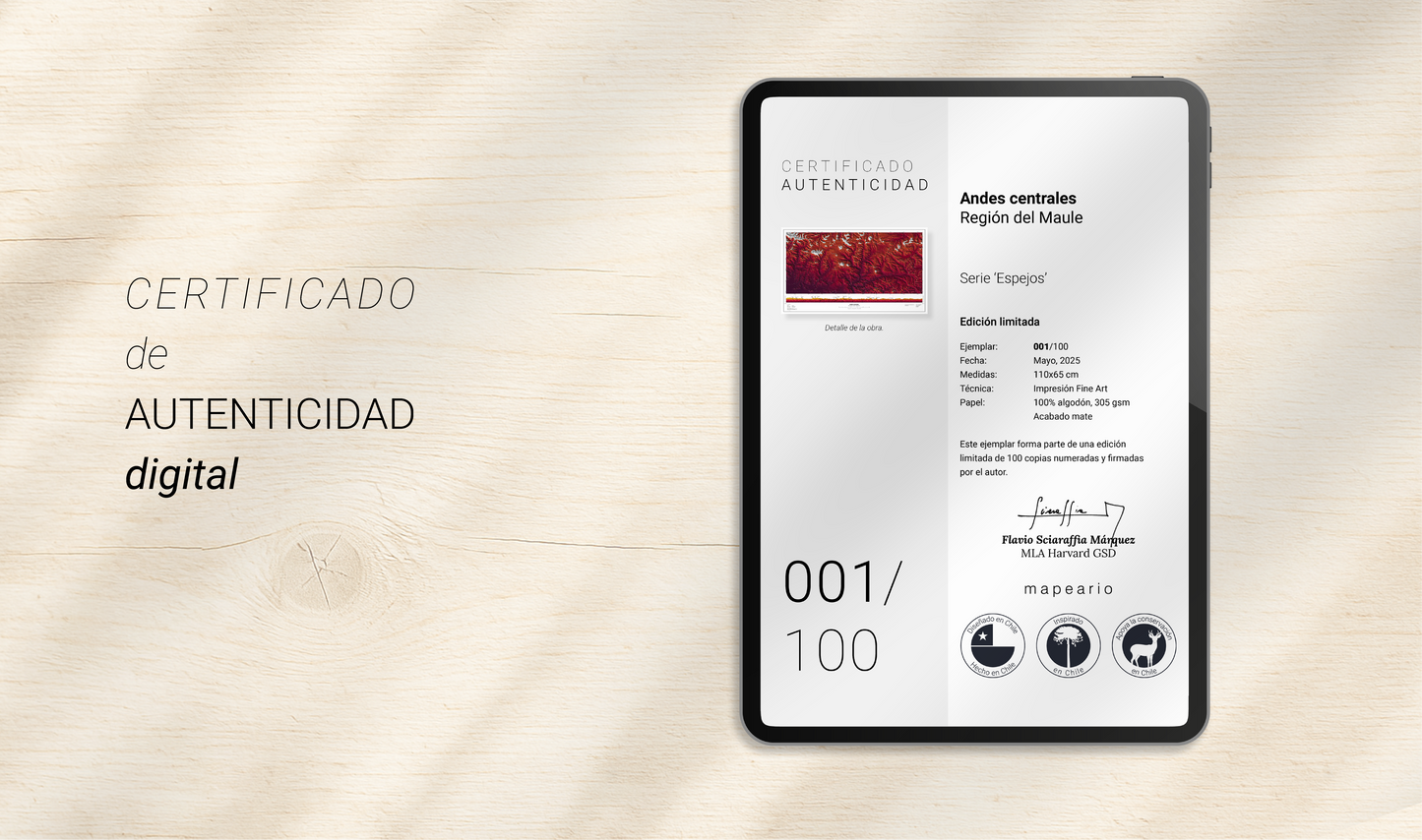 Andes centrales | Región del Maule