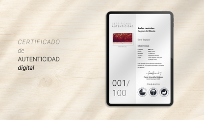 Andes centrales | Región del Maule