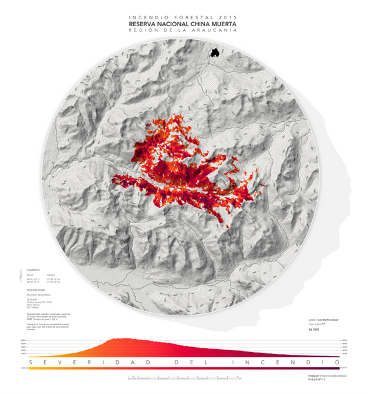 Reserva Nacional China Muerta | Incendio forestal 2015